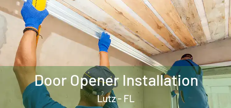  Door Opener Installation Lutz - FL