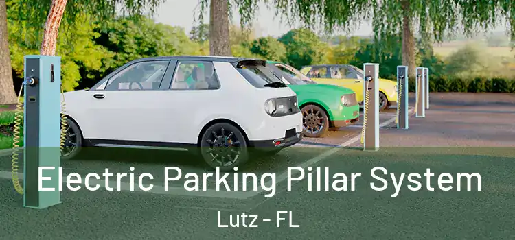  Electric Parking Pillar System Lutz - FL