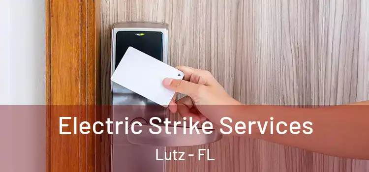 Electric Strike Services Lutz - FL