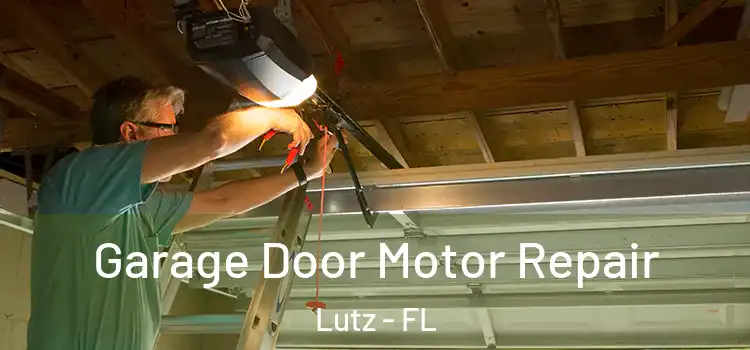  Garage Door Motor Repair Lutz - FL