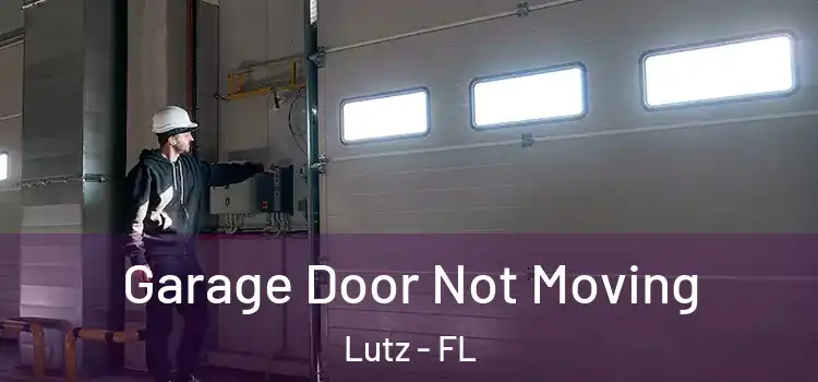  Garage Door Not Moving Lutz - FL