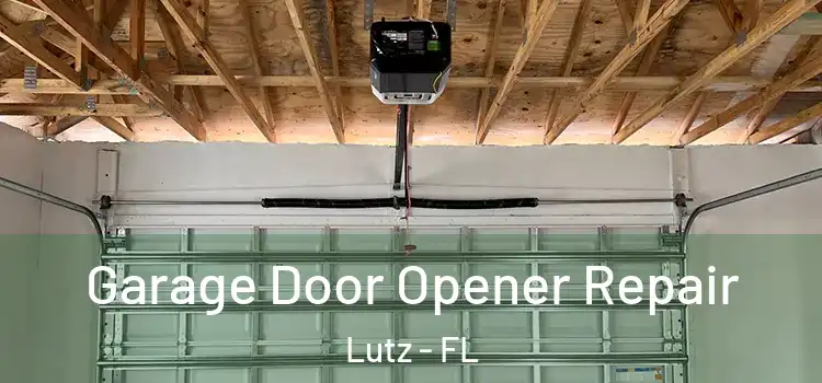  Garage Door Opener Repair Lutz - FL