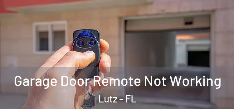  Garage Door Remote Not Working Lutz - FL