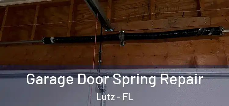  Garage Door Spring Repair Lutz - FL