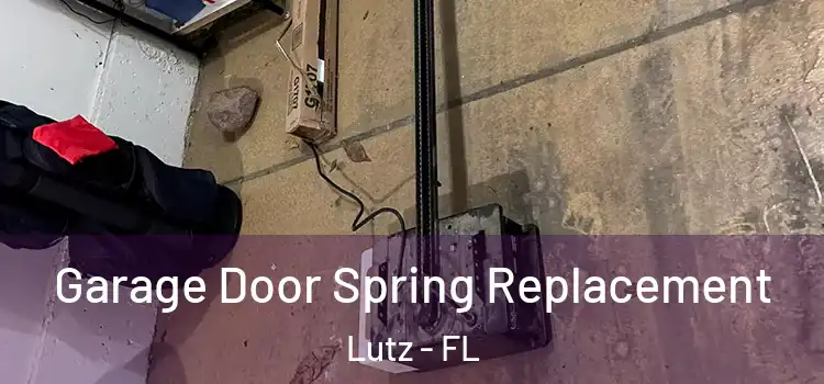  Garage Door Spring Replacement Lutz - FL