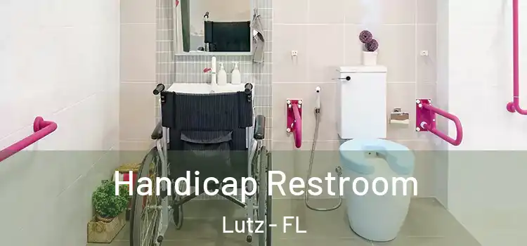  Handicap Restroom Lutz - FL