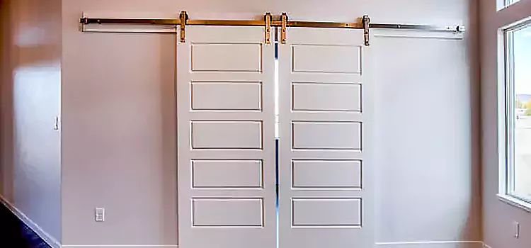 Glass Barn Door with Installation Hardware Kit Lutz