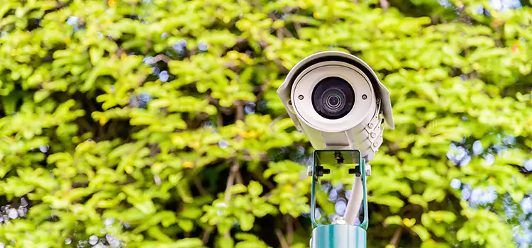 Advanced Surveillance Solutions for Every Need in Lutz
