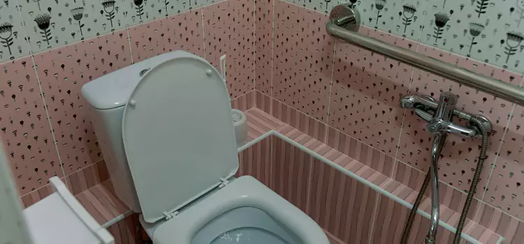 Meeting Diverse Needs With Accessible Restroom Solutions in Lutz, FL