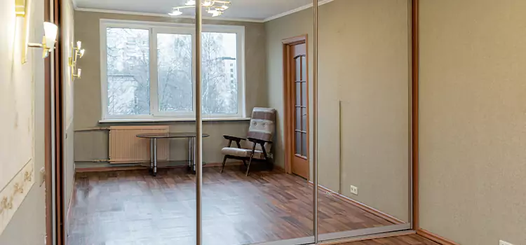 Mirror Closet Door Roller Replacement Lutz