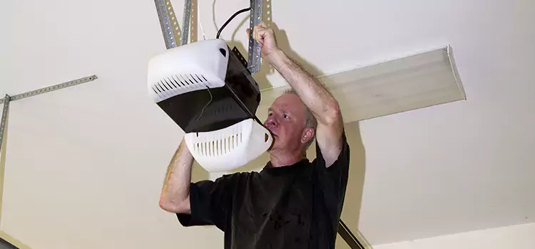 Garage Door Opener Service Lutz