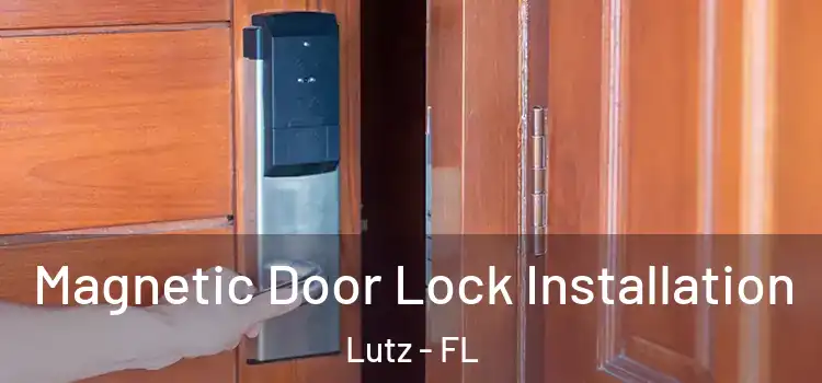  Magnetic Door Lock Installation Lutz - FL