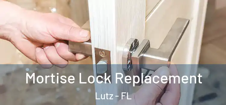 Mortise Lock Replacement Lutz - FL