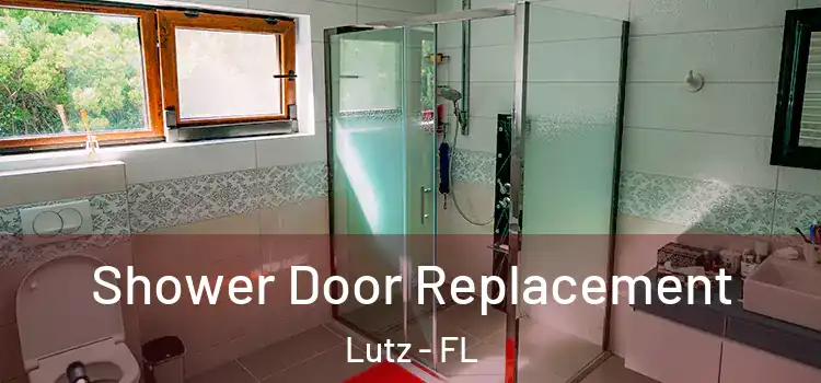 Shower Door Replacement Lutz - FL