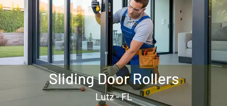  Sliding Door Rollers Lutz - FL