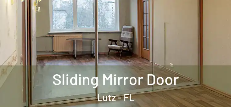  Sliding Mirror Door Lutz - FL